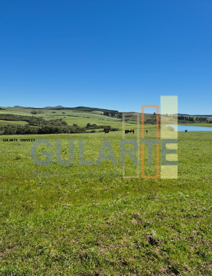 Fazenda à venda, 2730000m² - Foto 3