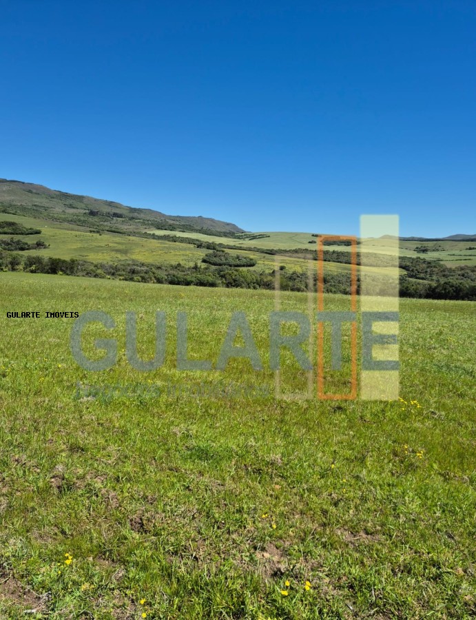 Fazenda à venda, 2730000m² - Foto 4
