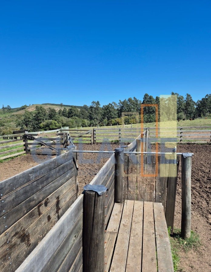 Fazenda à venda, 2730000m² - Foto 12