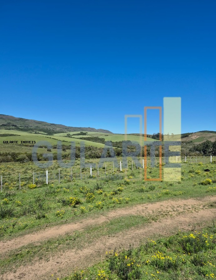 Fazenda à venda, 2730000m² - Foto 15