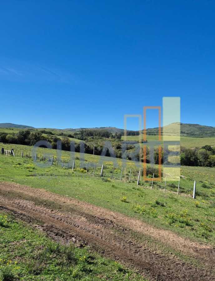 Fazenda à venda, 2730000m² - Foto 17