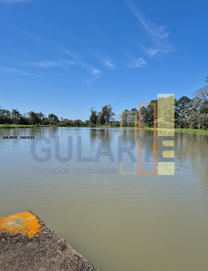 Fazenda, 98 hectares - Foto 1