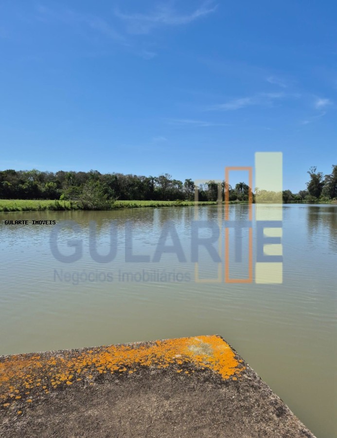 Fazenda, 98 hectares - Foto 4