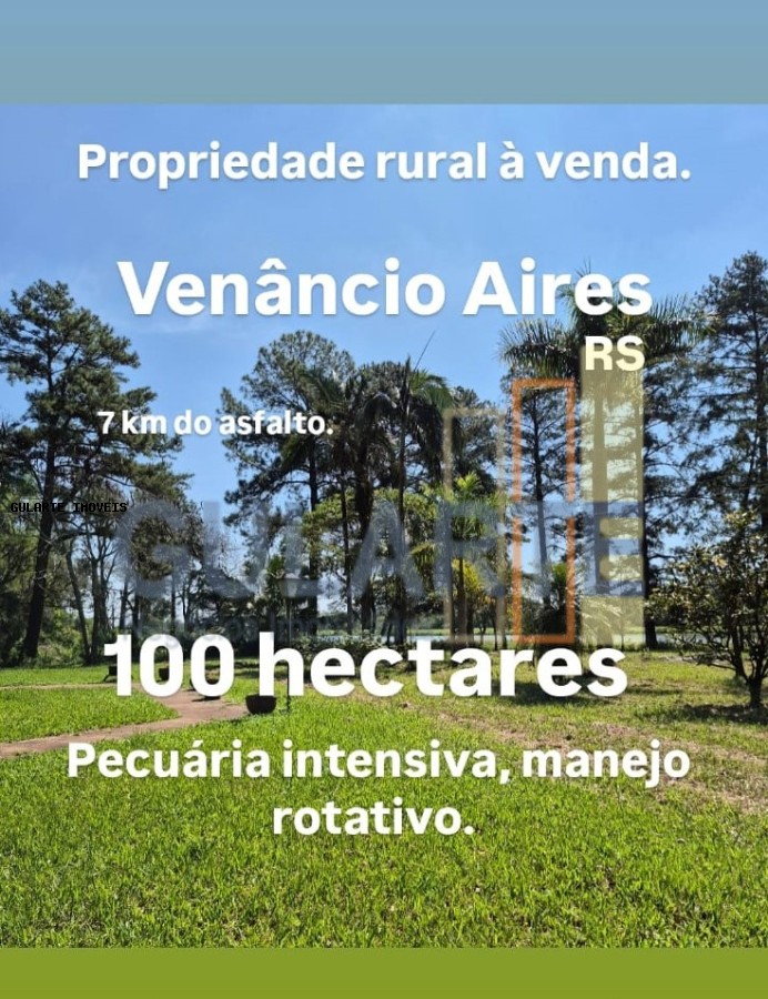 Fazenda, 98 hectares - Foto 3