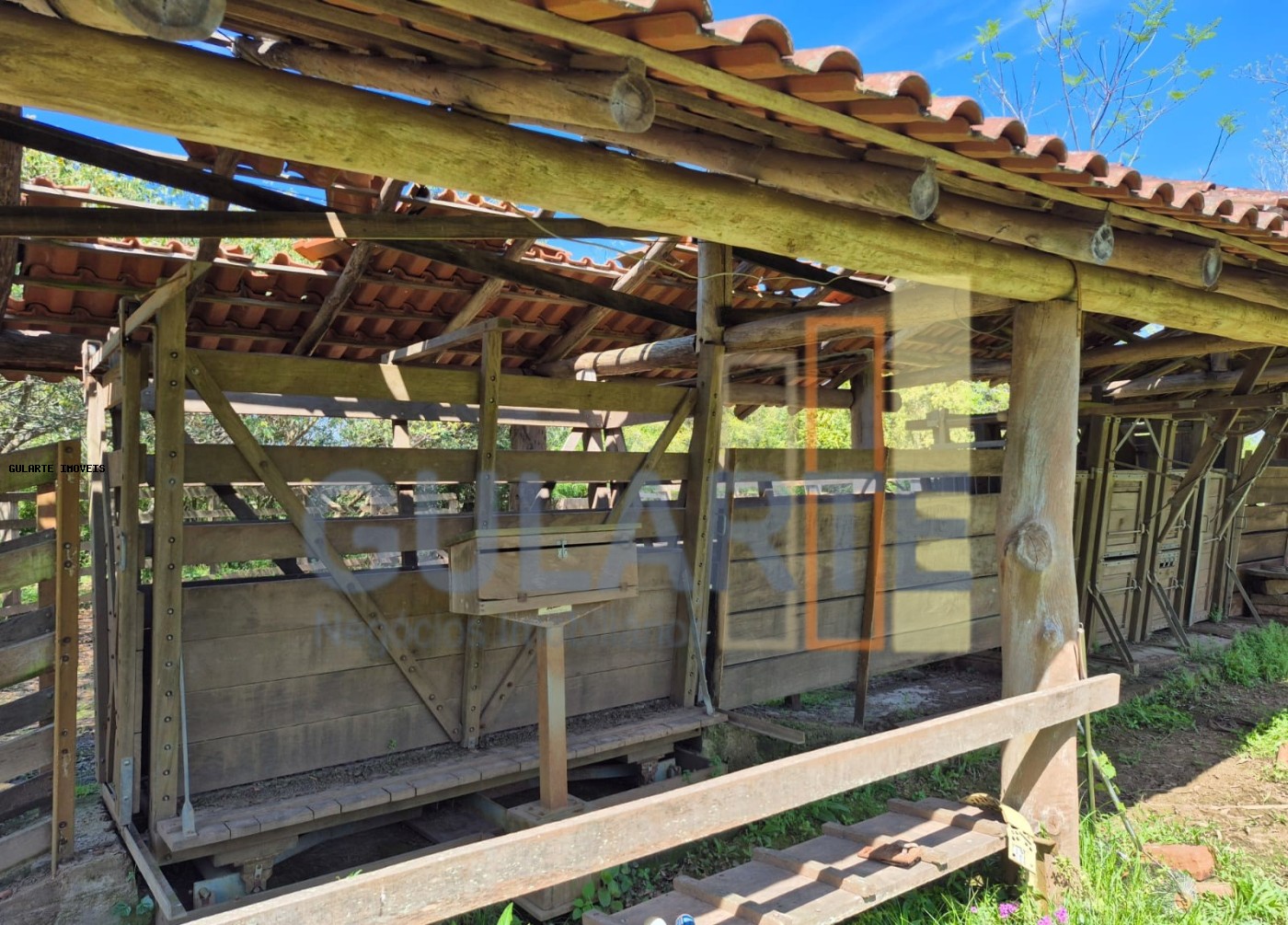 Fazenda, 98 hectares - Foto 6