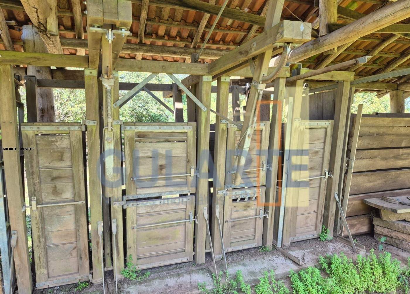 Fazenda, 98 hectares - Foto 7