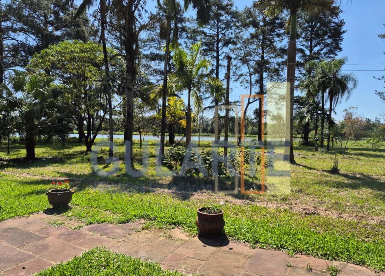 Fazenda, 98 hectares - Foto 8