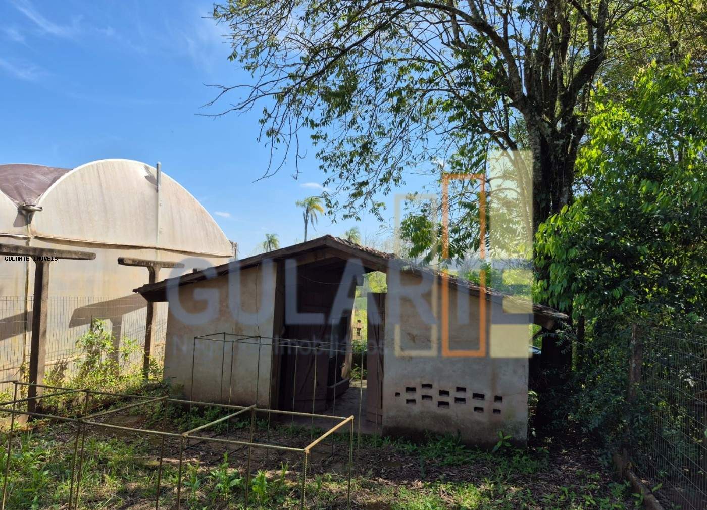 Fazenda, 98 hectares - Foto 9