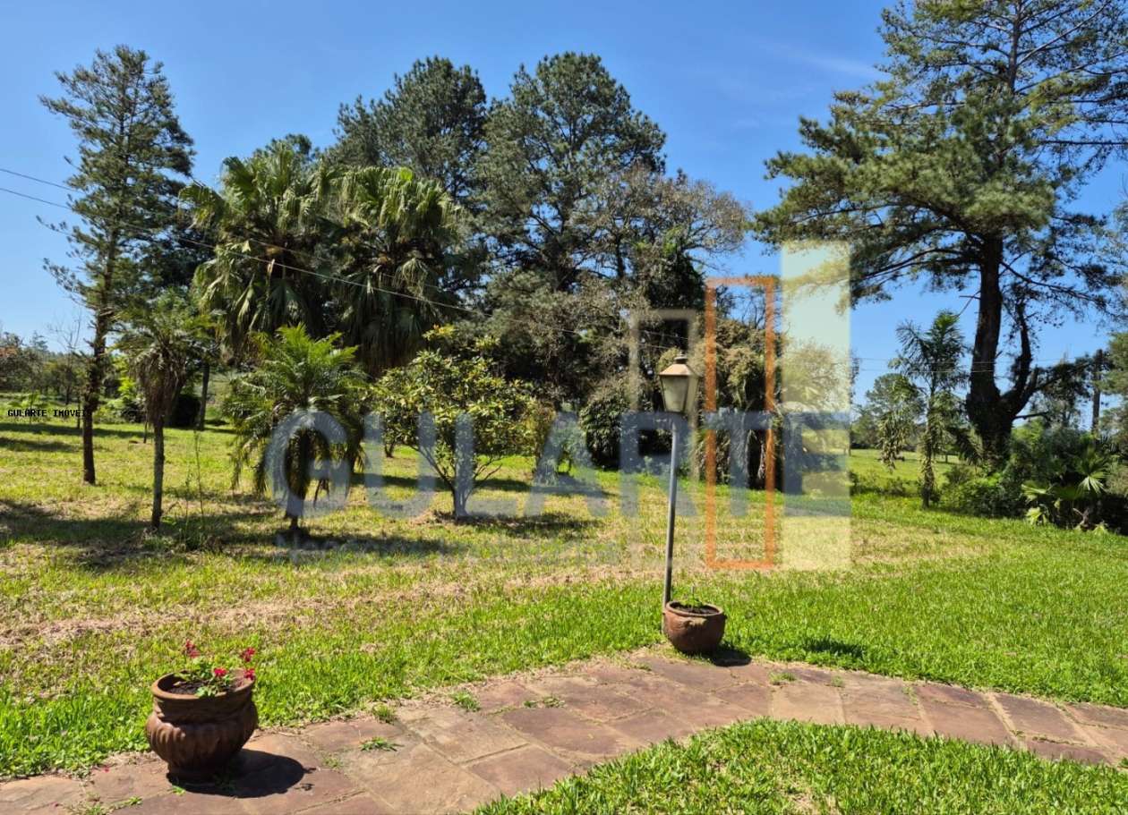 Fazenda, 98 hectares - Foto 10