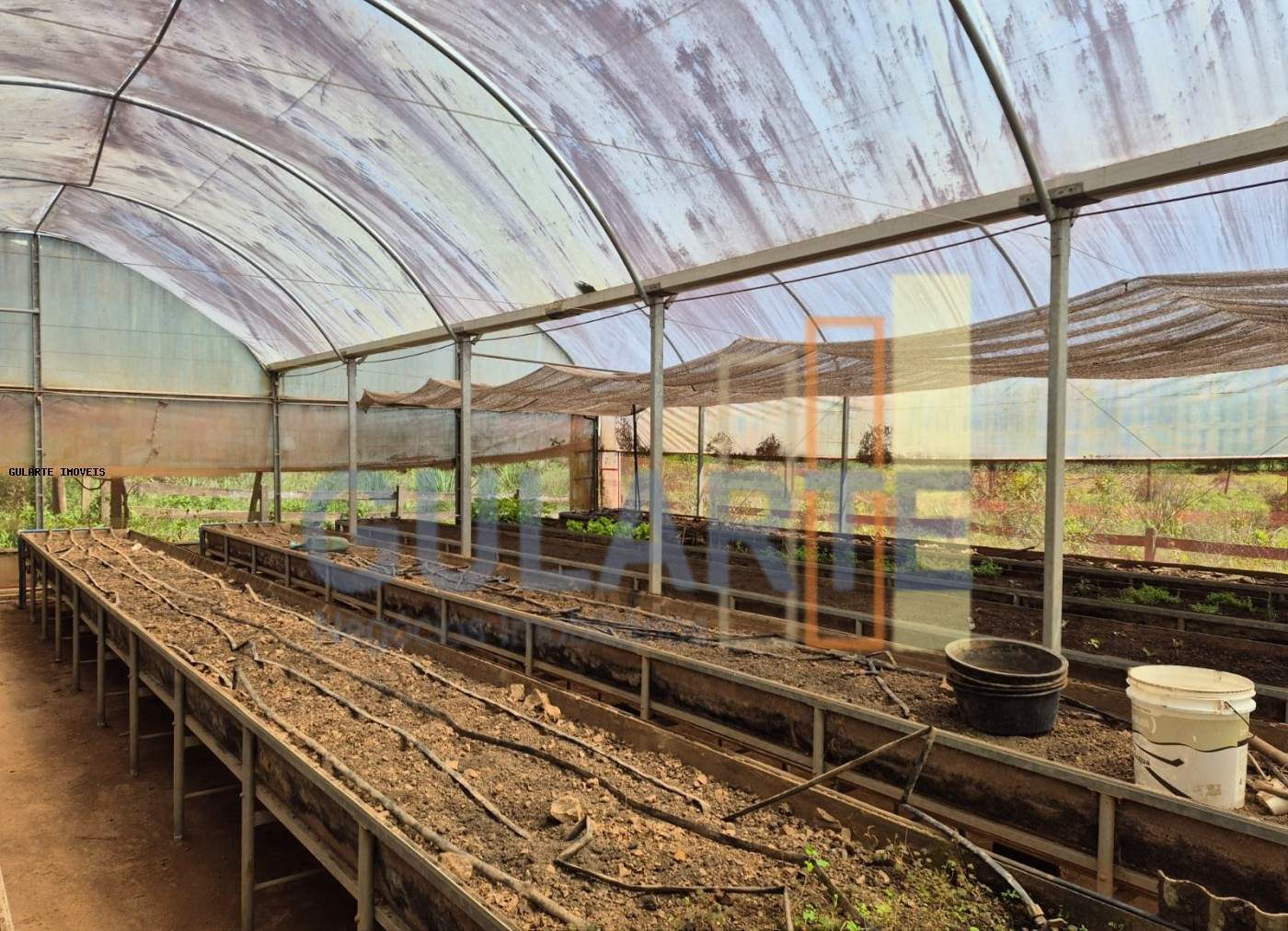 Fazenda, 98 hectares - Foto 11