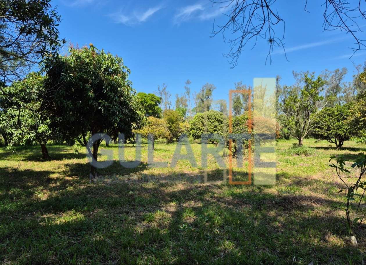 Fazenda, 98 hectares - Foto 13