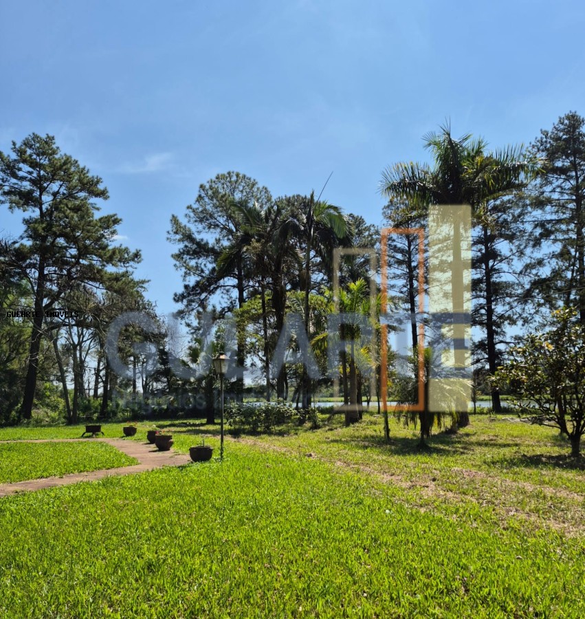 Fazenda, 98 hectares - Foto 14