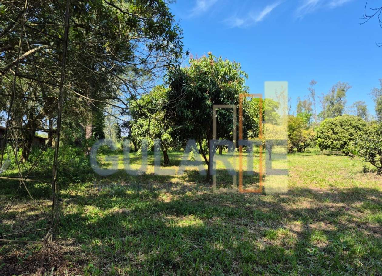 Fazenda, 98 hectares - Foto 16