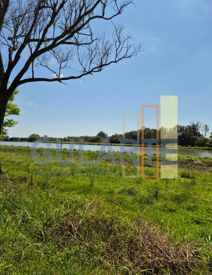 Fazenda, 98 hectares - Foto 17