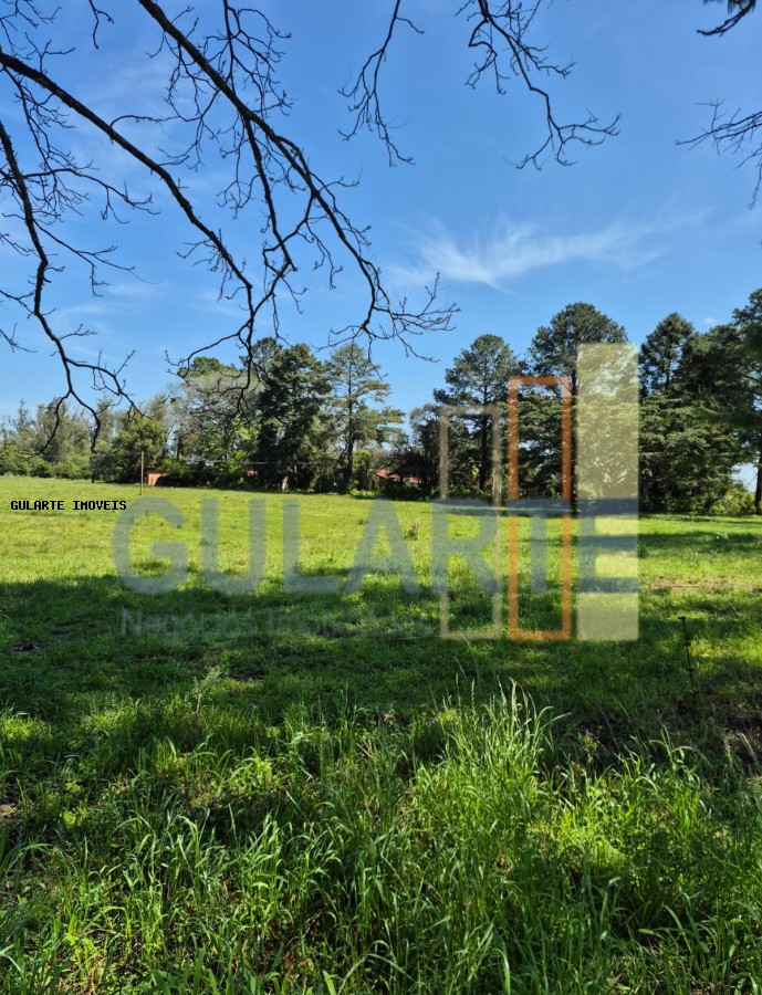 Fazenda, 98 hectares - Foto 18