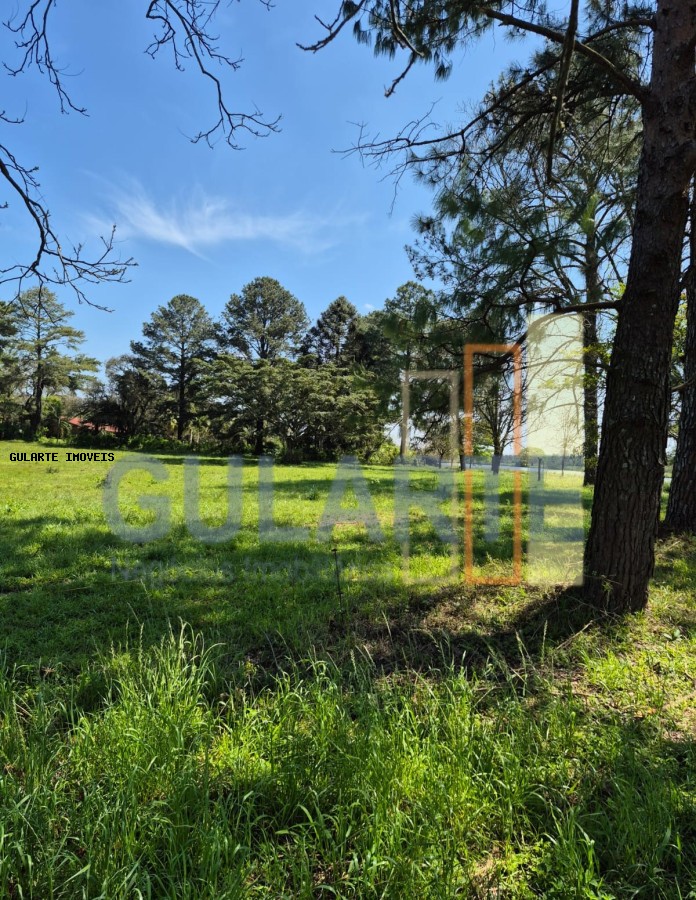 Fazenda, 98 hectares - Foto 19