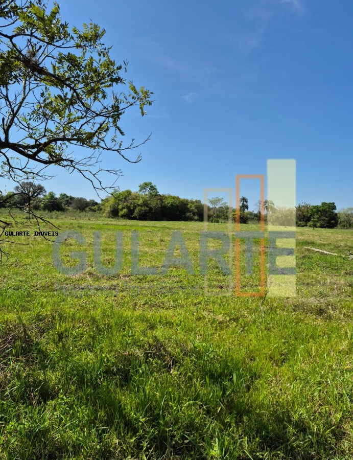 Fazenda, 98 hectares - Foto 21