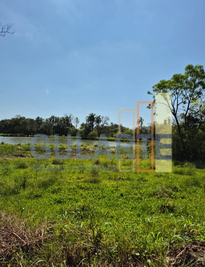 Fazenda, 98 hectares - Foto 20