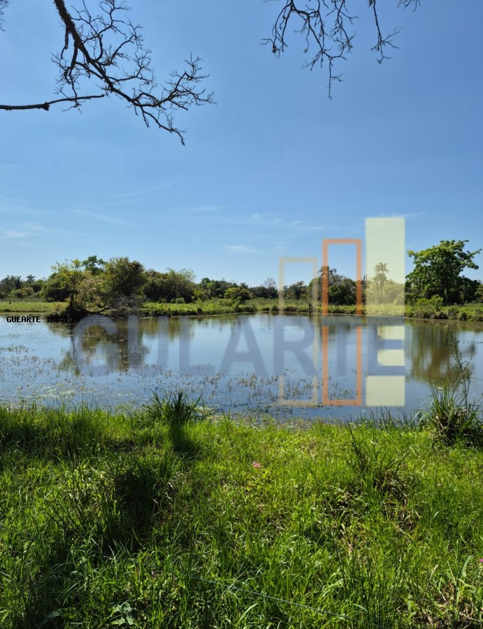 Fazenda, 98 hectares - Foto 22