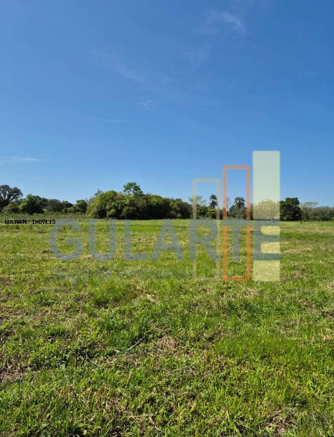 Fazenda, 98 hectares - Foto 23