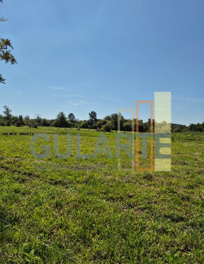 Fazenda, 98 hectares - Foto 24