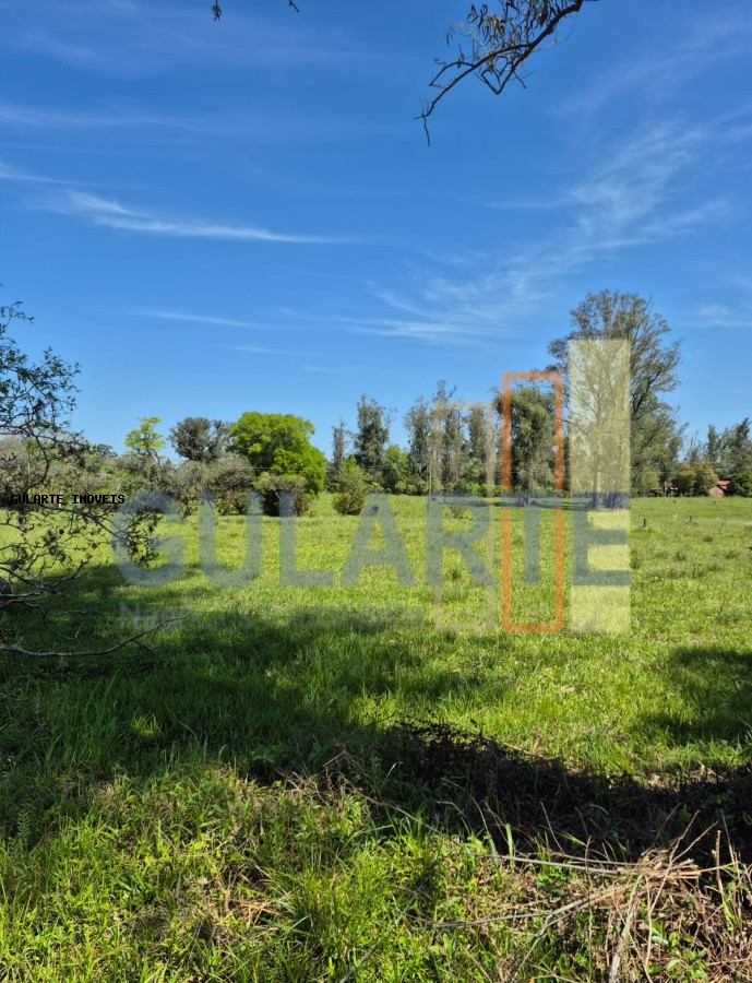 Fazenda, 98 hectares - Foto 25