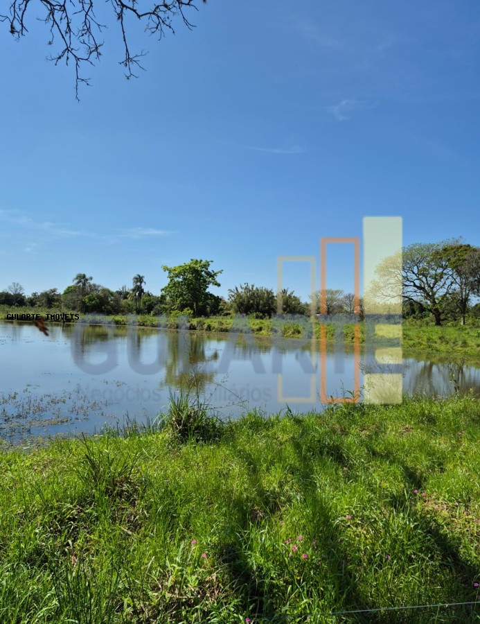 Fazenda, 98 hectares - Foto 27