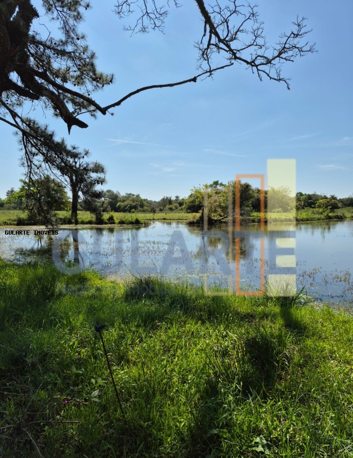 Fazenda, 98 hectares - Foto 26