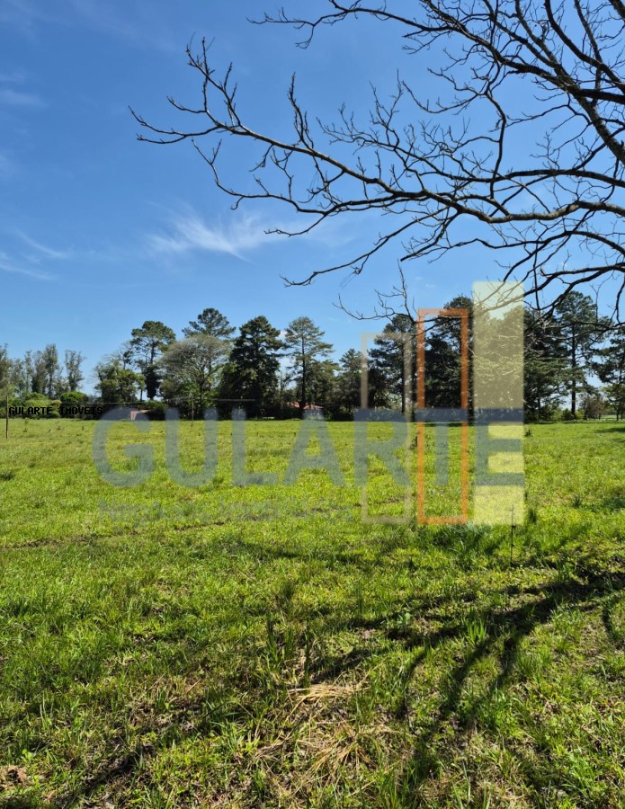 Fazenda, 98 hectares - Foto 28