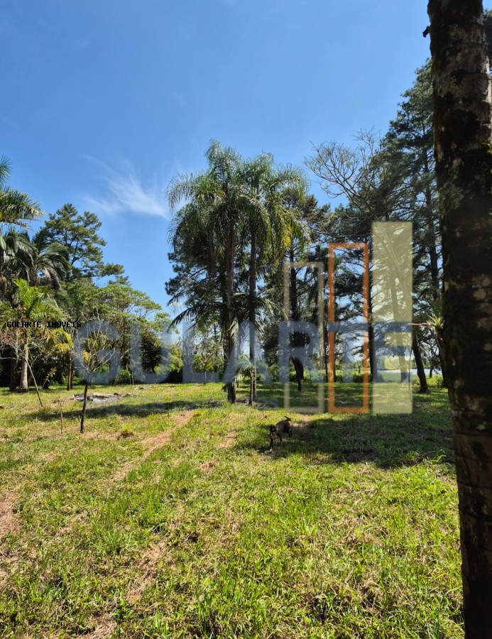 Fazenda, 98 hectares - Foto 31