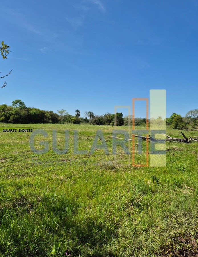 Fazenda, 98 hectares - Foto 30