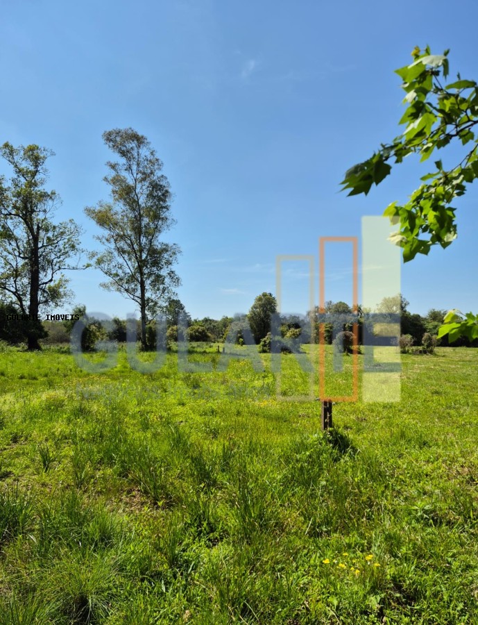 Fazenda, 98 hectares - Foto 32