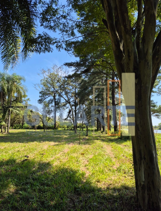 Fazenda, 98 hectares - Foto 33