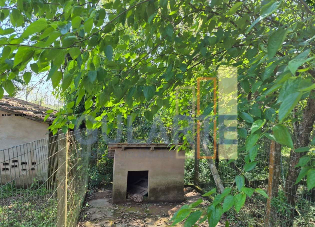 Fazenda, 98 hectares - Foto 36