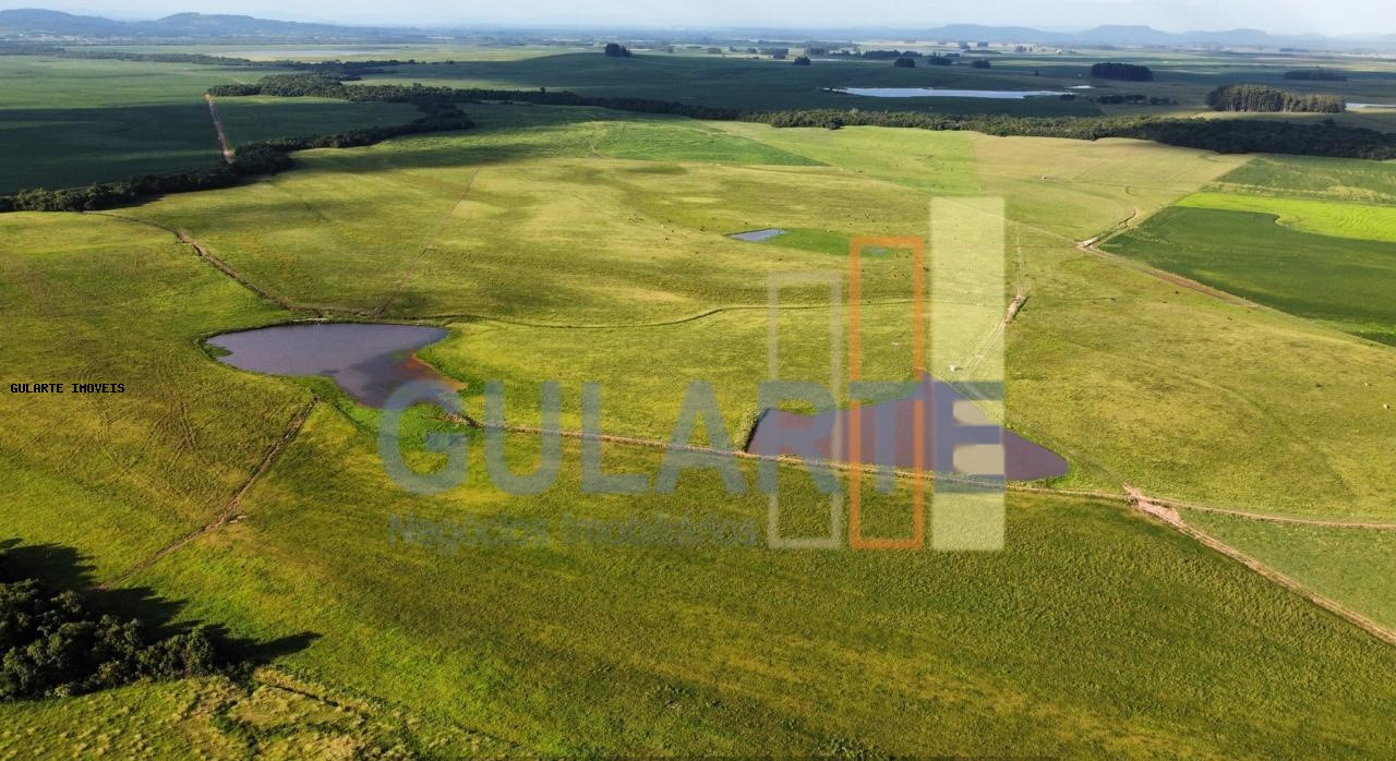 Fazenda-Sítio-Chácara, 178 hectares - Foto 1