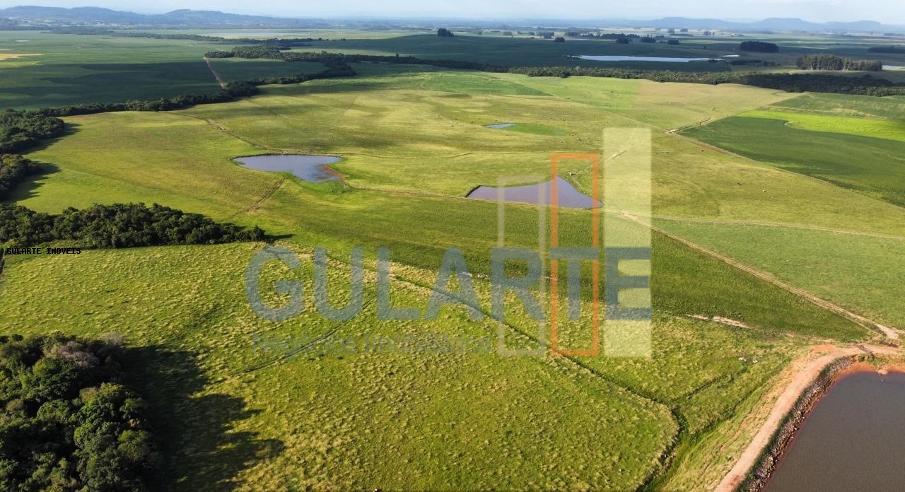 Fazenda-Sítio-Chácara, 178 hectares - Foto 5