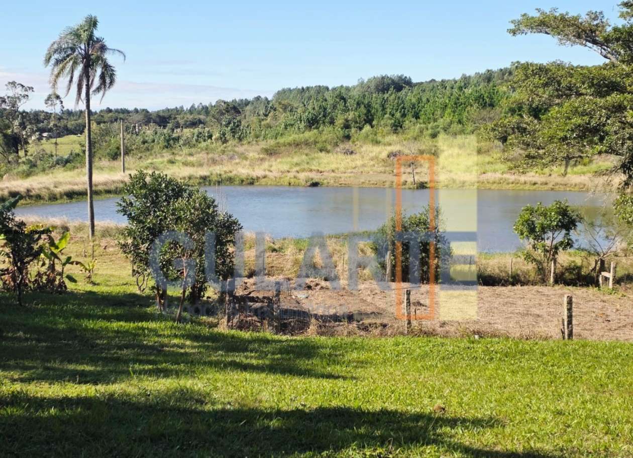 Sítio, 3 quartos, 3 hectares - Foto 2