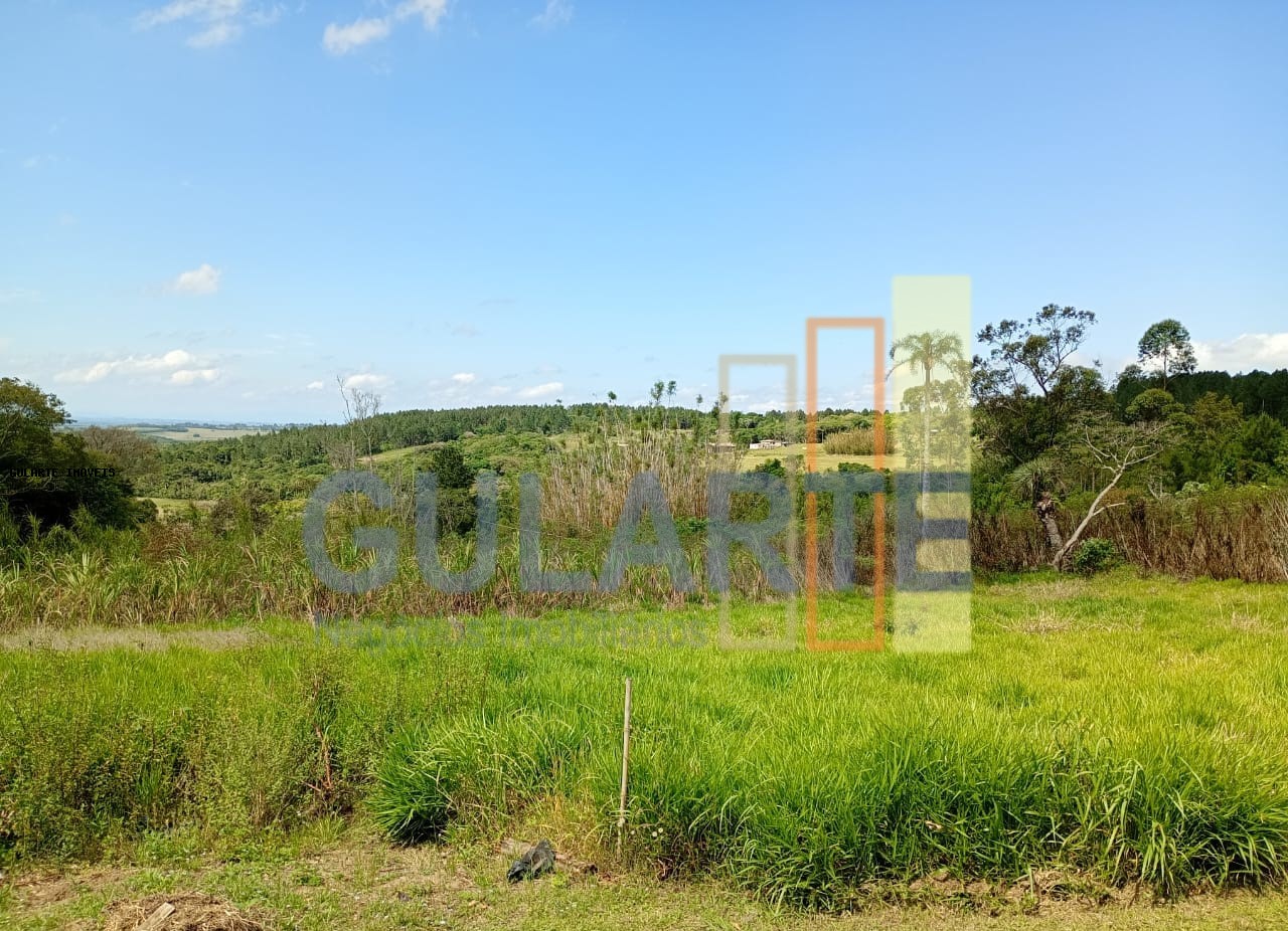 Sítio, 3 quartos, 3 hectares - Foto 6