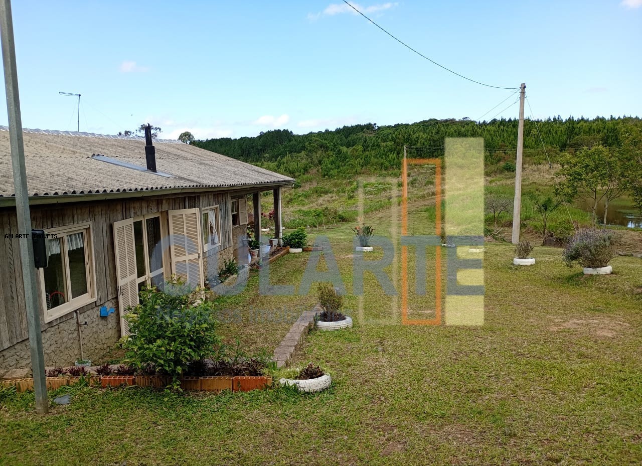 Sítio, 3 quartos, 3 hectares - Foto 10