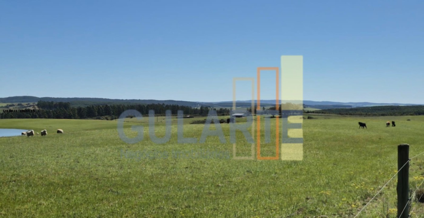 Fazenda, 273 hectares - Foto 20