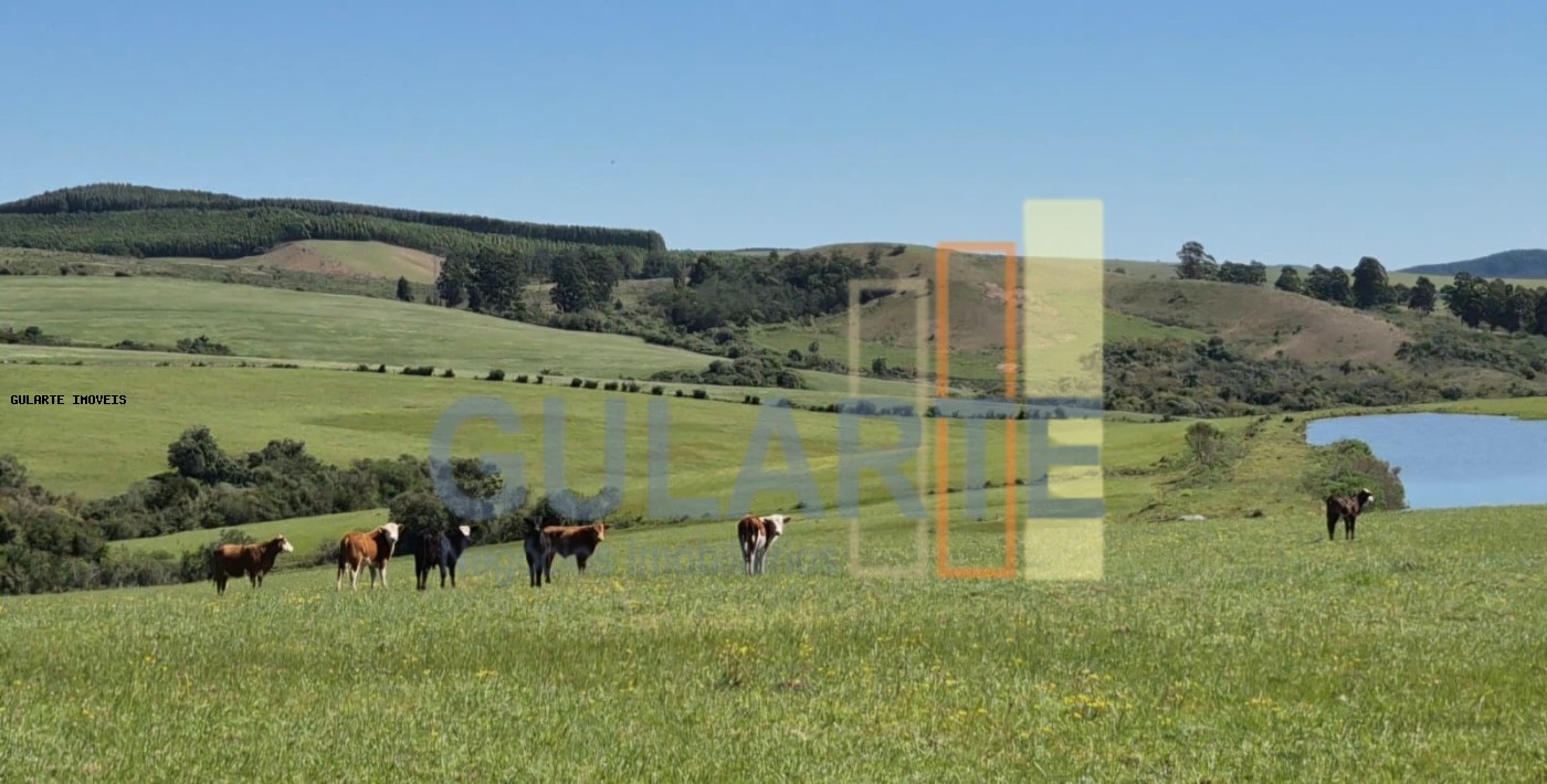 Fazenda, 273 hectares - Foto 19