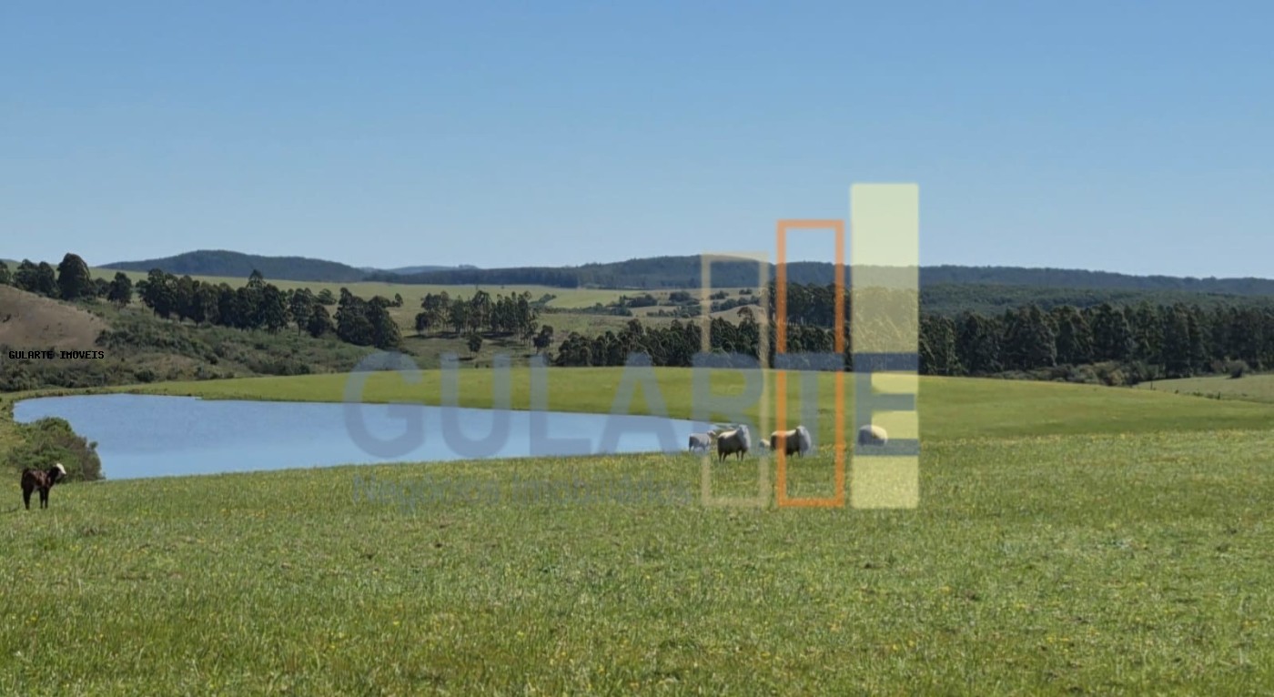 Fazenda, 273 hectares - Foto 21