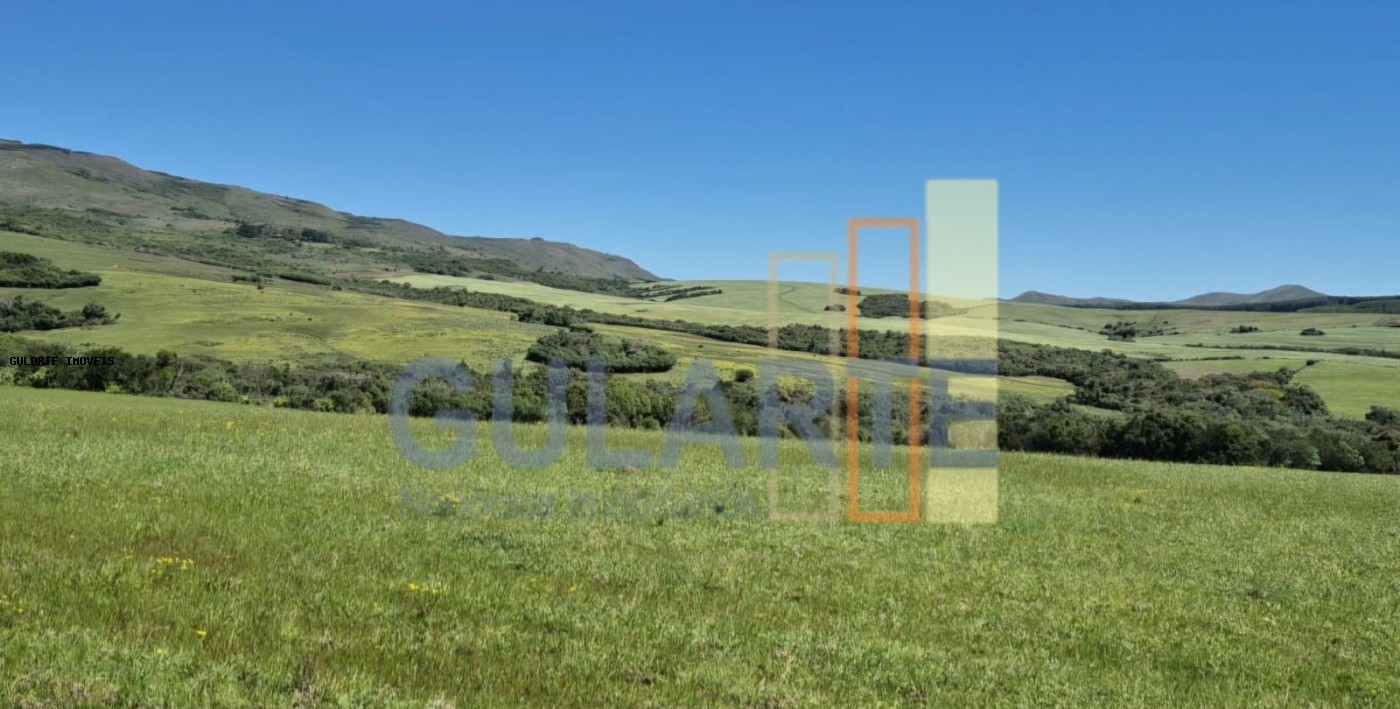 Fazenda, 273 hectares - Foto 22