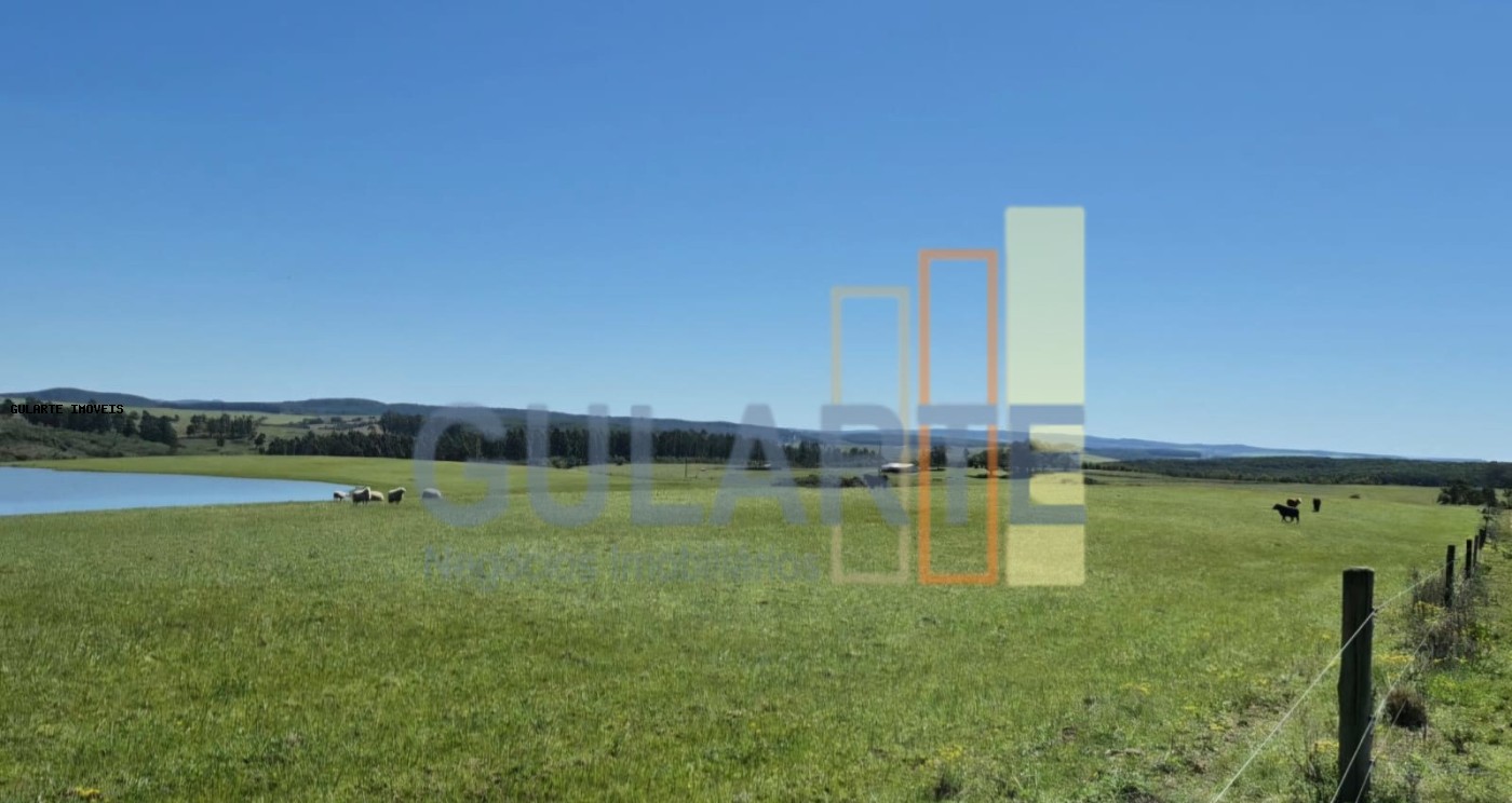 Fazenda, 273 hectares - Foto 23