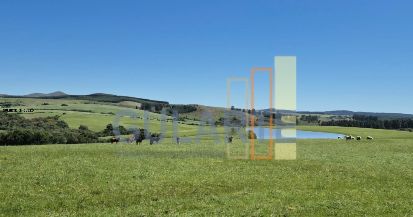 Fazenda, 273 hectares - Foto 24