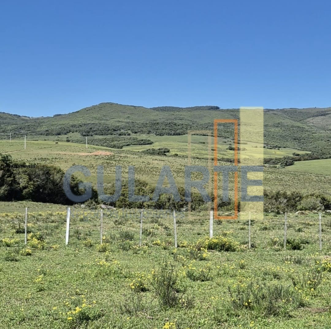 Fazenda, 273 hectares - Foto 26