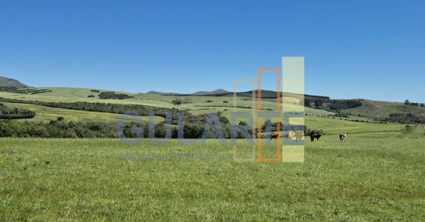 Fazenda, 273 hectares - Foto 25