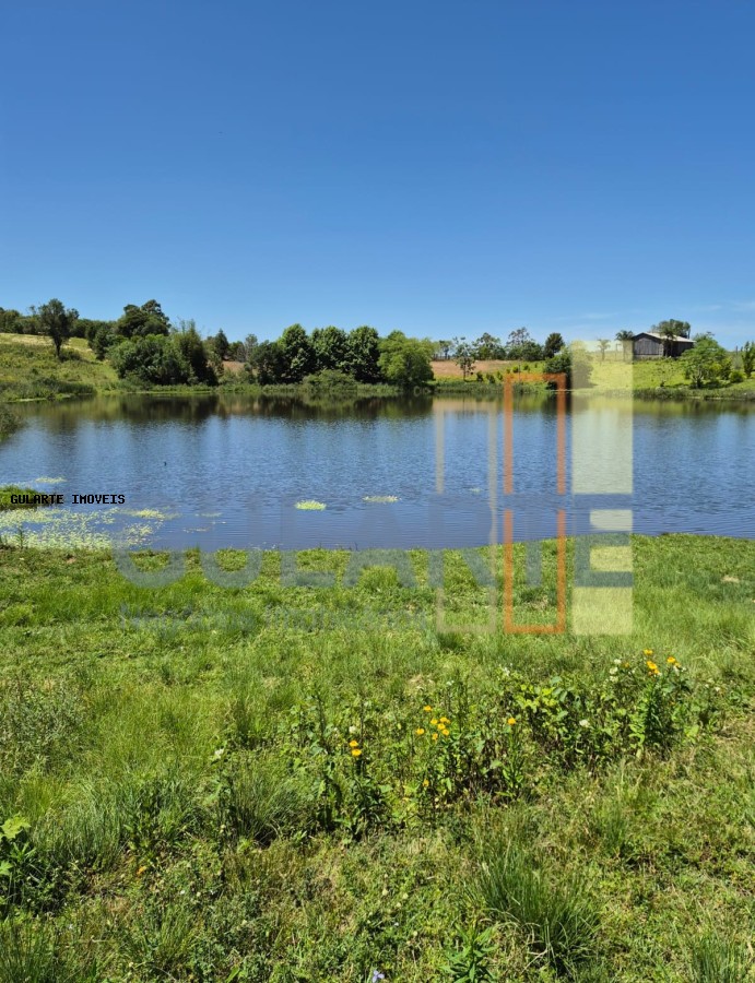 Fazenda, 375 hectares - Foto 3