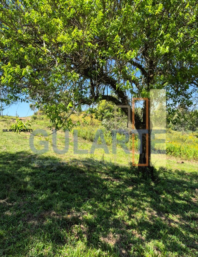 Fazenda, 375 hectares - Foto 5