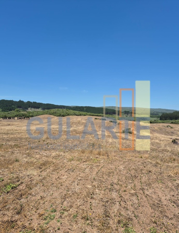 Fazenda, 375 hectares - Foto 6